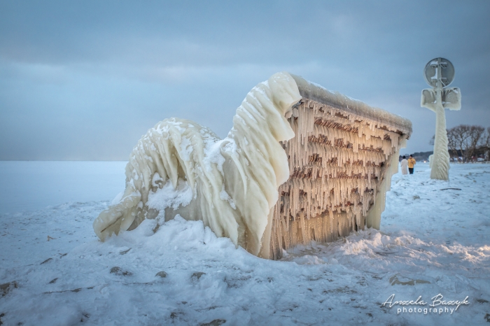 Gamta sukūrė žiemos skulptūrų galeriją Neringoje