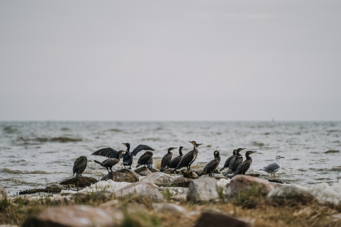 Neringos gamtinis turizmas pristatytas gamtinio turizmo parodoje „BirdLife Suomi“